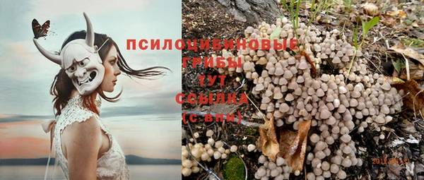 кокс Абдулино