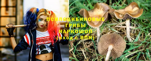 кокс Абдулино