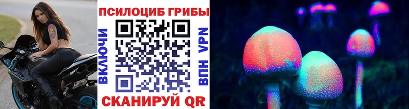 Псилоцибиновые грибы Cubensis  Рыльск 